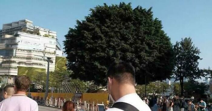 78 Real Life Optical Illusion That Will Leave Your Brain Shaken, Not Stirred