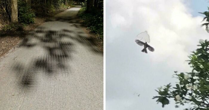 “Did I Jump Timelines?”: 80 Glitches In The Matrix Caught In Real Life