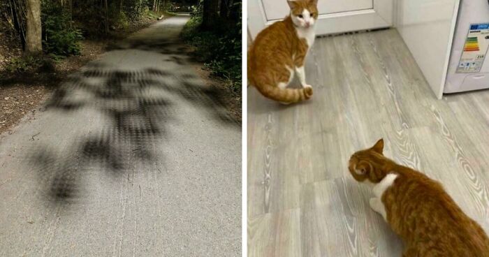 “Did I Jump Timelines?”: 80 Glitches In The Matrix Caught In Real Life