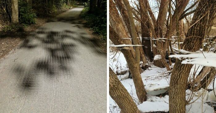 “Did I Jump Timelines?”: 80 Glitches In The Matrix Caught In Real Life