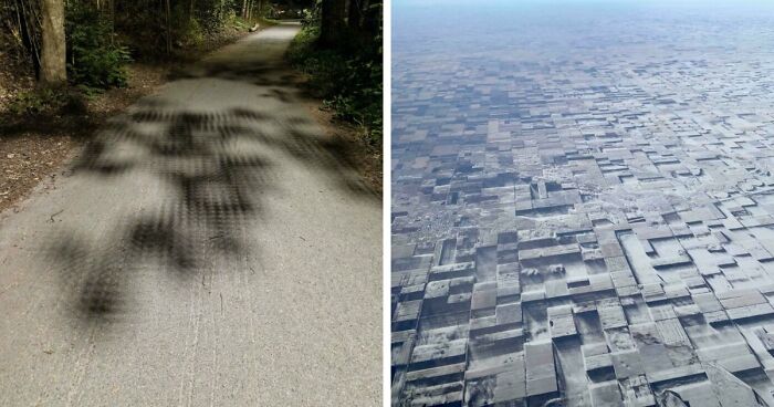 “Did I Jump Timelines?”: 80 Glitches In The Matrix Caught In Real Life