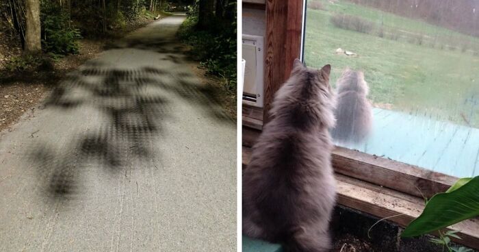 “Did I Jump Timelines?”: 80 Glitches In The Matrix Caught In Real Life