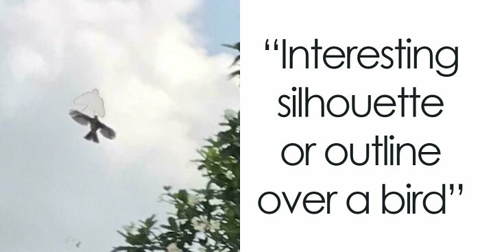 “Did I Jump Timelines?”: 80 Glitches In The Matrix Caught In Real Life