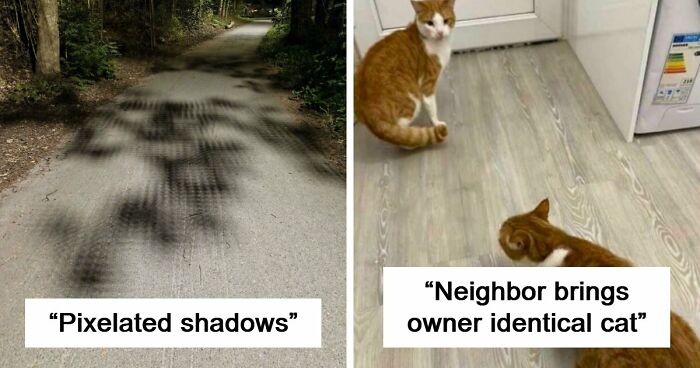 “Did I Jump Timelines?”: 80 Glitches In The Matrix Caught In Real Life