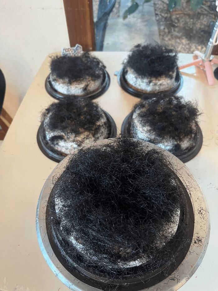Disgusting food: Five small cakes topped with black, curly hair-like frosting.