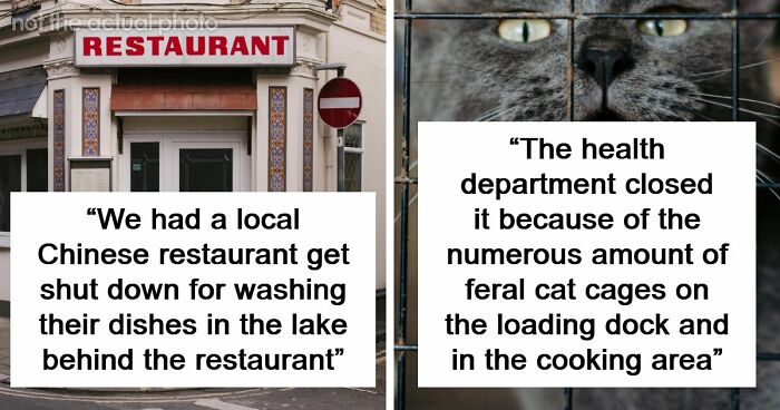 “Makes Me Happy To Be A Vegetarian”: 63 Places That Failed Health Inspections In The Most Shocking Ways