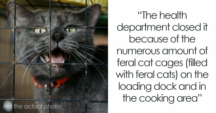 “Makes Me Happy To Be A Vegetarian”: 63 Places That Failed Health Inspections In The Most Shocking Ways