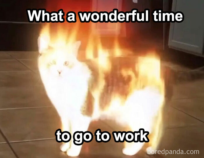 A cat engulfed in flames, with the text What a wonderful time to go to work, a funny meme about summer heat.