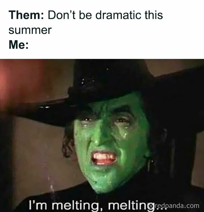 The Wicked Witch of the West melting, a funny meme about the summer heat.