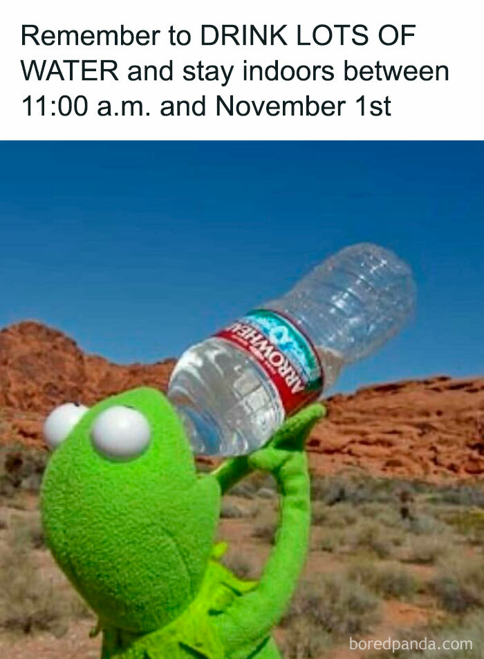 Funny meme about summer heat: Kermit the Frog drinks water, advises staying indoors between 11 AM and November 1st.