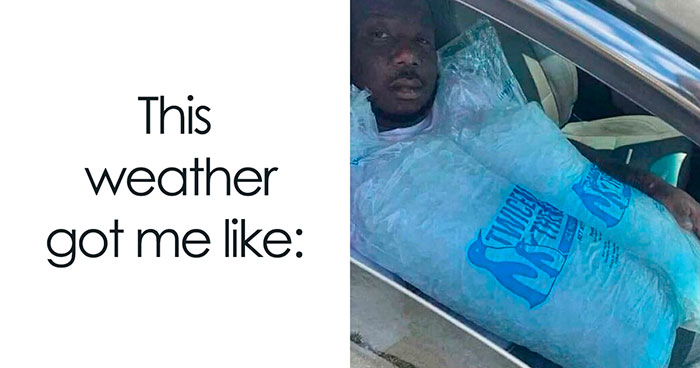 “You Know Just Who To Blame”: 62 Funny Memes About The Summer Heat Nobody Asked For