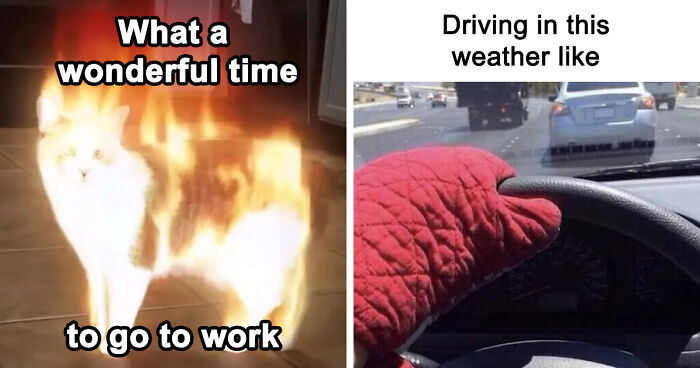 “You Know Just Who To Blame”: 62 Funny Memes About The Summer Heat Nobody Asked For