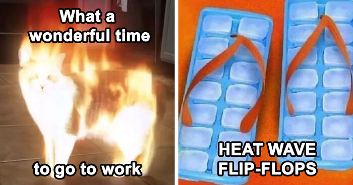 “You Know Just Who To Blame”: 62 Funny Memes About The Summer Heat Nobody Asked For