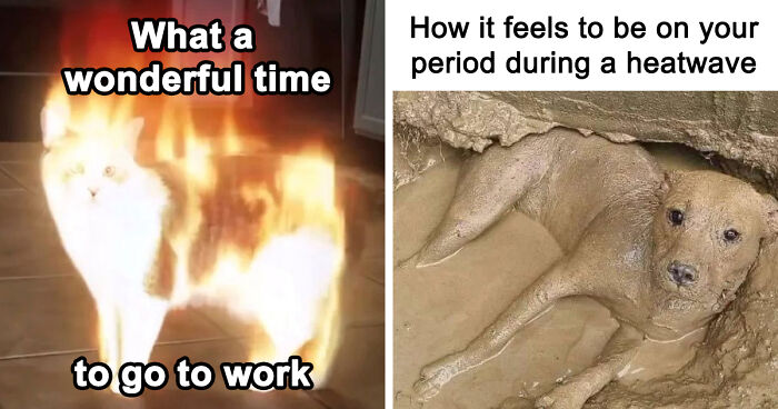 “You Know Just Who To Blame”: 62 Funny Memes About The Summer Heat Nobody Asked For