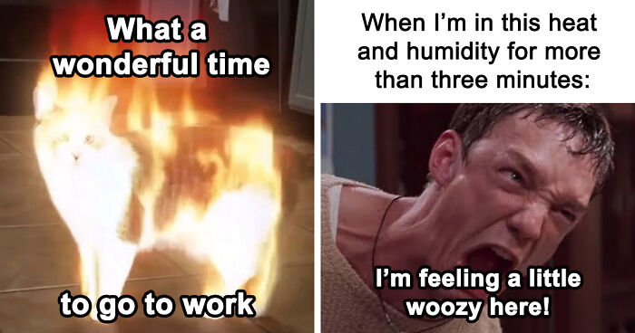 “You Know Just Who To Blame”: 62 Funny Memes About The Summer Heat Nobody Asked For