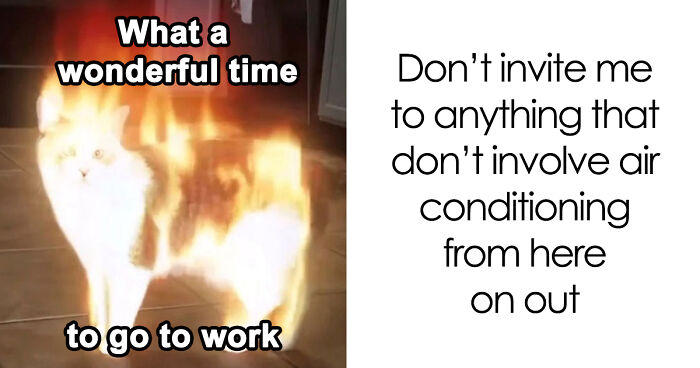 “You Know Just Who To Blame”: 62 Funny Memes About The Summer Heat Nobody Asked For