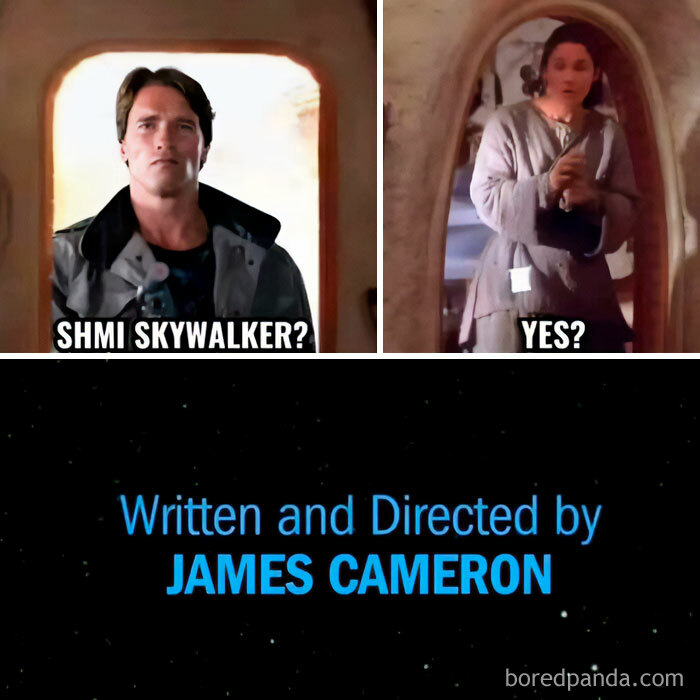 A meme with Arnold Schwarzenegger and Shmi Skywalker, attributing it to James Cameron, from the superior 80s and 90s.