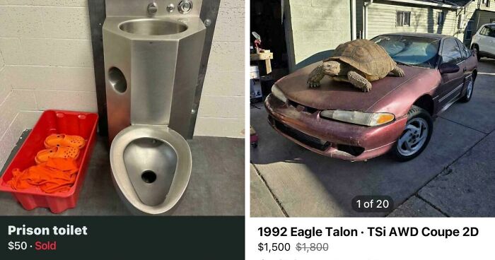 65 Marketplace Listings So Unhinged They Should Come With A Disclaimer And A Hotline Number