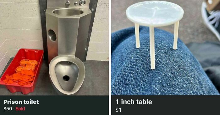 65 Marketplace Listings So Unhinged They Should Come With A Disclaimer And A Hotline Number