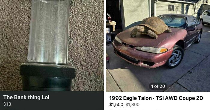 65 Marketplace Listings So Unhinged They Should Come With A Disclaimer And A Hotline Number
