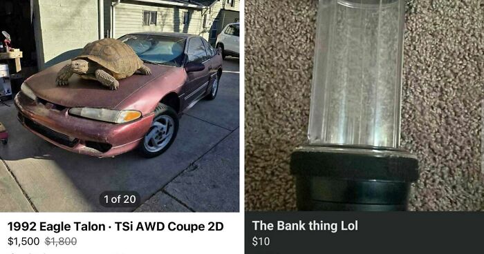 65 Marketplace Listings So Unhinged They Should Come With A Disclaimer And A Hotline Number