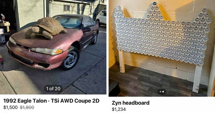 65 Marketplace Listings So Unhinged They Should Come With A Disclaimer And A Hotline Number