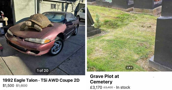 65 Marketplace Listings So Unhinged They Should Come With A Disclaimer And A Hotline Number