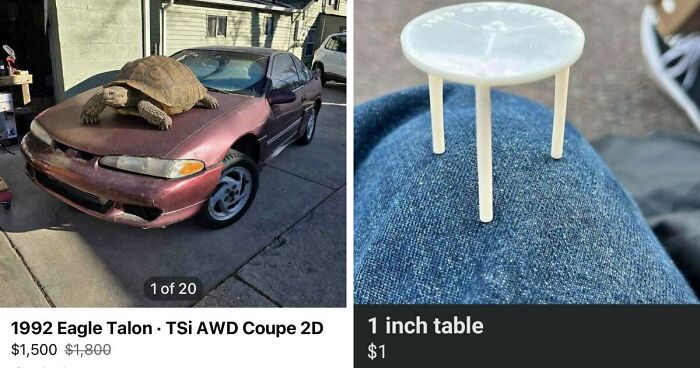 65 Marketplace Listings So Unhinged They Should Come With A Disclaimer And A Hotline Number