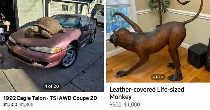 65 Marketplace Listings So Unhinged They Should Come With A Disclaimer And A Hotline Number