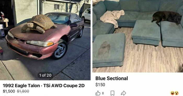65 Marketplace Listings So Unhinged They Should Come With A Disclaimer And A Hotline Number