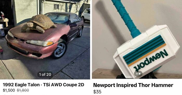 65 Marketplace Listings So Unhinged They Should Come With A Disclaimer And A Hotline Number