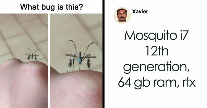 77 Hilarious Posts From ‘Xavier’ That Had The Internet In Stitches (New Pics)