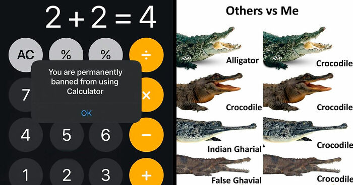 77 Hilarious Posts From ‘Xavier’ That Had The Internet In Stitches (New Pics)