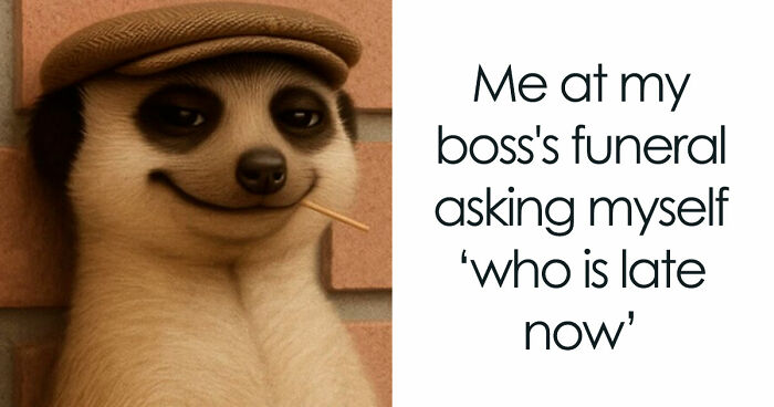 77 Hilarious Posts From ‘Xavier’ That Had The Internet In Stitches (New Pics)