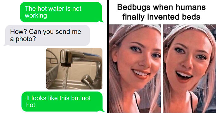 If Reality Is Too Much Right Now, Here Are 90 Relatable And Respectful Memes To Boost Your Morale (New Pics)
