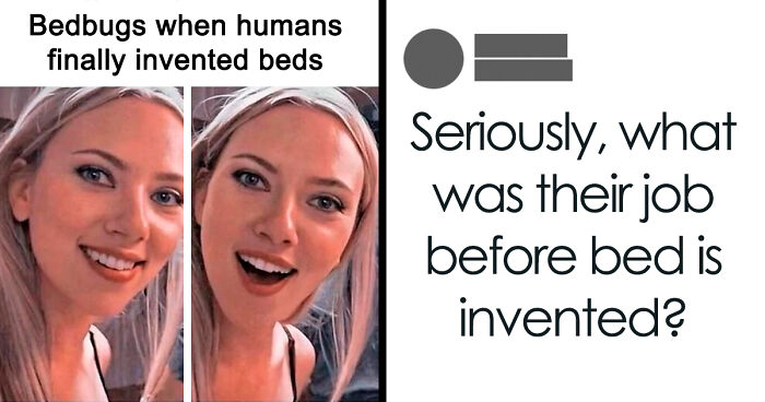 If Reality Is Too Much Right Now, Here Are 90 Relatable And Respectful Memes To Boost Your Morale (New Pics)