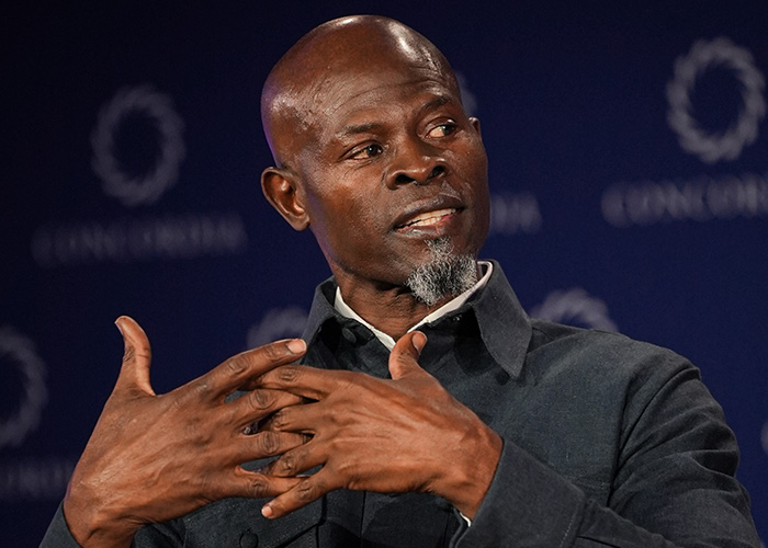 Hollywood Star Djimon Hounsou in a custody battle, exposing massive income and claiming to be struggling.