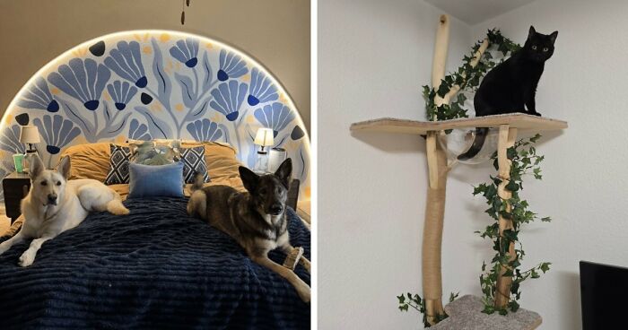 79 Creative Home DIY Projects That Left People Seriously Impressed