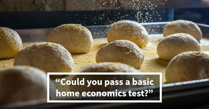 “Are You Really A Grown-Up?”: Prove It In These 20 Home Economics Questions