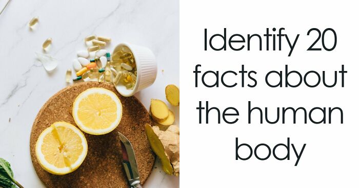 “Are You A Biology Buff?”: Prove It By Scoring 20/20 On This Human Body Quiz
