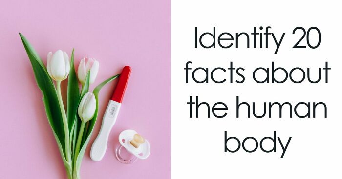 “Are You A Biology Buff?”: Prove It By Scoring 20/20 On This Human Body Quiz