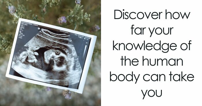“Are You A Biology Buff?”: Prove It By Scoring 20/20 On This Human Body Quiz