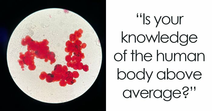 “Are You A Biology Buff?”: Prove It By Scoring 20/20 On This Human Body Quiz