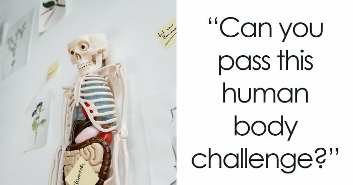 “Are You A Biology Buff?”: Prove It By Scoring 20/20 On This Human Body Quiz