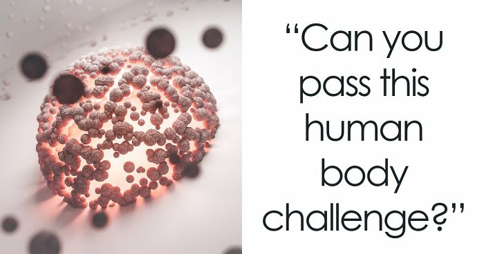“Are You A Biology Buff?”: Prove It By Scoring 20/20 On This Human Body Quiz
