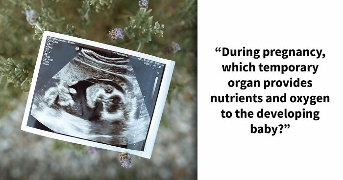 “Are You A Biology Buff?”: Prove It By Scoring 20/20 On This Human Body Quiz