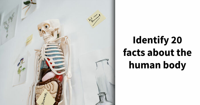 “Are You A Biology Buff?”: Prove It By Scoring 20/20 On This Human Body Quiz