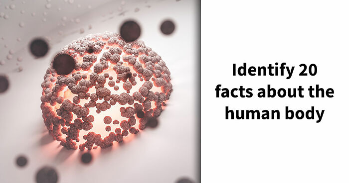 “Are You A Biology Buff?”: Prove It By Scoring 20/20 On This Human Body Quiz