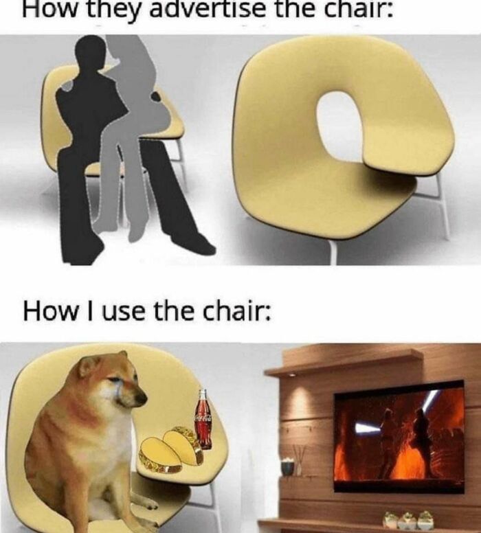 A meme contrasting a stylish chair advertisement with a dog using it to watch TV, shared among 55 funny memes.