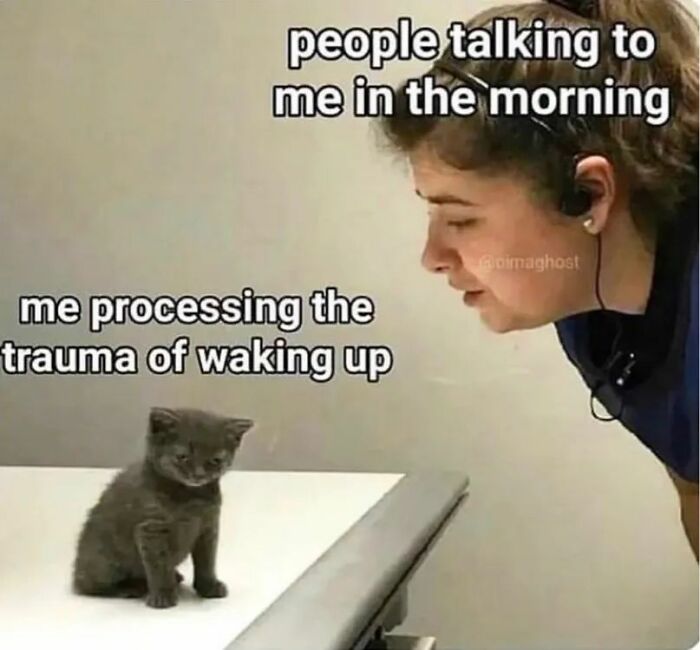 A meme with a person looking down at a sad kitten, illustrating the feeling of processing the trauma of waking up. This is one of many memes from No Context Humans.